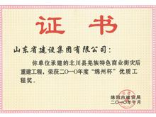 2010年度“錦州杯”優(yōu)質工程獎