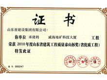 2010年度泰山杯獎（省優(yōu)質工程）