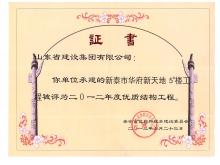 新泰華府5#優(yōu)質結構工程